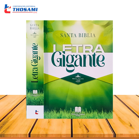 Santa Biblia Letra Grande