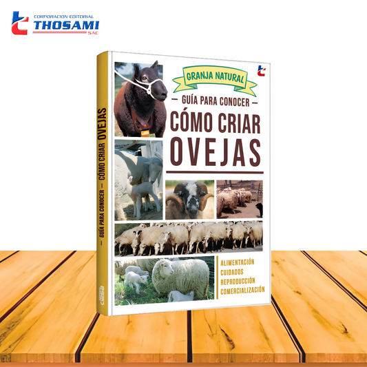 Guía para conocer - Cómo criar ovejas