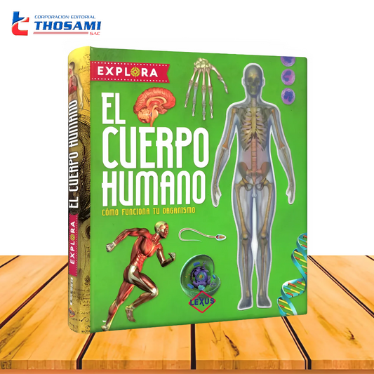 Explora el Cuerpo Humano