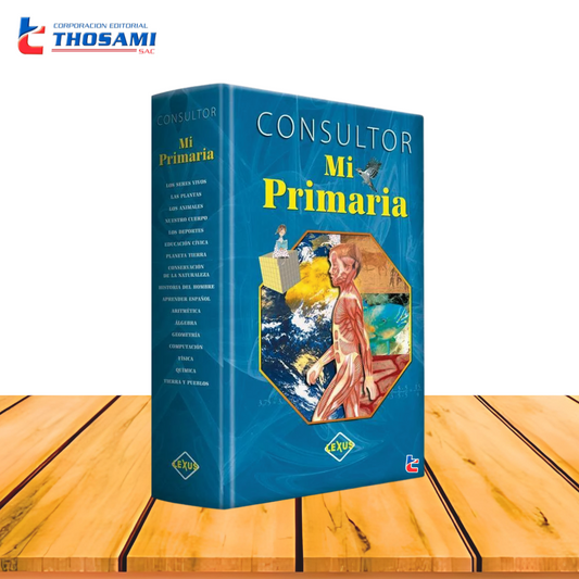 Consultor Mi Primaria